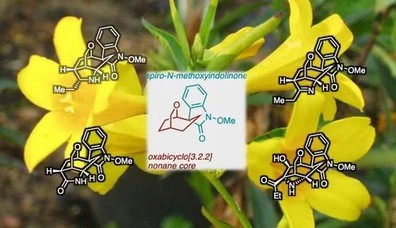 Levodopa Uses Levodopa Uses