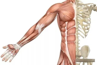 Testosterone Propionate uses CAS 57-85-2 | Shaanxi BLOOM Tech Co., Ltd Testosterone Propionate uses CAS 57-85-2 | Shaanxi BLOOM Tech Co., Ltd