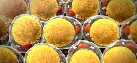 Bioglutide method | Shaanxi BLOOM Tech Co., Ltd Bioglutide method | Shaanxi BLOOM Tech Co., Ltd