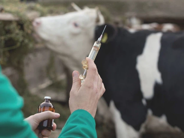 Trenbolone Acetate CAS 10161-34-9 Applications | Shaanxi BLOOM Tech Co., Ltd Trenbolone Acetate CAS 10161-34-9 Applications | Shaanxi BLOOM Tech Co., Ltd