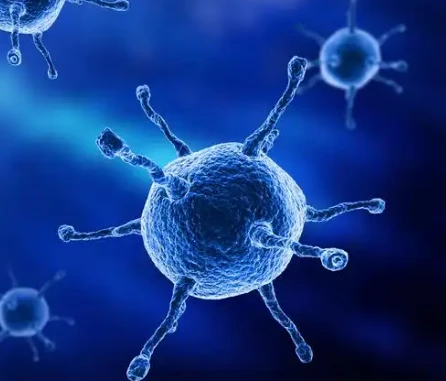 terlipressin acetate anti-inflammatory | Shaanxi BLOOM Tech Co., Ltd terlipressin acetate anti-inflammatory | Shaanxi BLOOM Tech Co., Ltd
