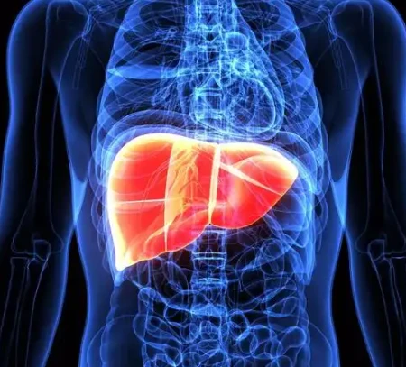 terlipressin acetate pathological conditions | Shaanxi BLOOM Tech Co., Ltd terlipressin acetate pathological conditions | Shaanxi BLOOM Tech Co., Ltd